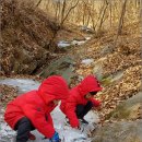 사계절환경 이미지