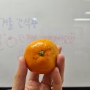 수원-0353 이미지