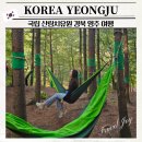 국립 산림치유원 숙박 식사 후기 경북 영주 웰니스 여행