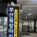 인조이풀 | 미트로 프리다이빙 부산 북항 마리나 다이빙풀&수영장