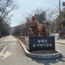 봉화산 족구장 이미지