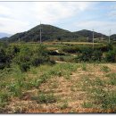 우회도로삼거리(우) 이미지