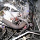 기아카브레타 이미지