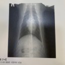 잠실준25시 동물병원 이미지