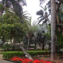 화산공원중앙 이미지