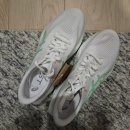 (주)블라스트 | [러닝화 추천] 아식스 소닉블라스트 우먼 솔직 리뷰