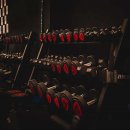 원모어핏 이미지