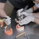 덴트리온 이미지