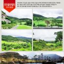 무안 클린벨리 CC 이미지