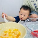 세계제일어린이집 | 우리 아이의 특별한 시작, 백석동어린이집 고민 중이라면 자연과 책이 만나는 이곳 추천