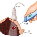 플라워여성외과의원 이미지