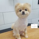 강산동물병원 이미지