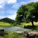 그레이스밸리 이미지