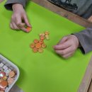 성주초교병설유치원 이미지