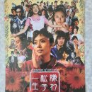 씨네비디오 | [영화관람/CGV 명동 씨네라이브너리] 혐오스런 마츠코의 일생 후기