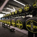 와일드 짐 이미지