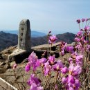 ■명품산악회 제62차 비슬산(대구) 산행 공지 이미지