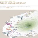 제주아일랜드