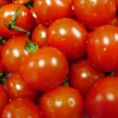 (유)초록환경 이미지