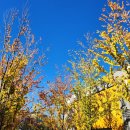 청송동물병원 이미지