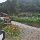 솔내음과 물소리 이미지