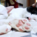 말랑말랑 이미지