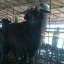 홍길동 농장 이미지