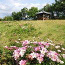 황간남성근린공원화장실 이미지