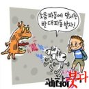 소리에는 소리로 맞선다, 액티브 노이즈 캔슬링 이미지