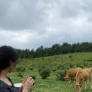 천지2목장 이미지