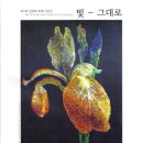 반포4동011 이미지