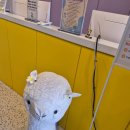 진목로 | 양산 도안키즈호텔)내돈내산 우리 외박 해냈어!!