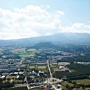 제주대학교 통역번역대학원 이미지