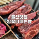 양꽃이피는밤 이미지