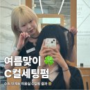1374 | 수원 인계동 미용실 C컬매직셋팅펌 후기, 직접 받아봤어요