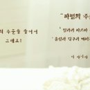 시선사진관 이미지