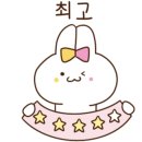 이츠펫 두정점 네이버블로그