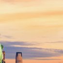 GST 무역 이미지