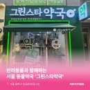 그린스타약국 이미지