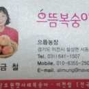 으뜸 복숭아 풍경 이미지