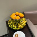 라운지(LOUNGE) | 스위스 취리히 공항 라운지, ASPIRE airport lounge 후기 (카드 혜택, 일행 추가 할인)