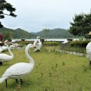 화진포생태박물관 이미지