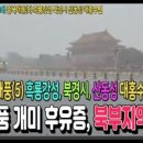 산동3호 이미지