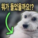 없음 네이버블로그