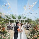 빌라드화이트 이미지