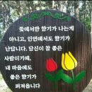 매일 매일 한자공부 156 이미지