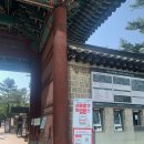 “중구 여행 한 장으로 통한다!” 「서울 중구 투어패스」정식 출시 이미지