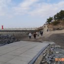 명가네힐링농장 네이버블로그