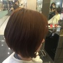 더 헤담
