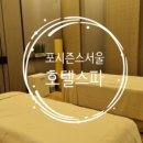 더스파앳더포시즌스